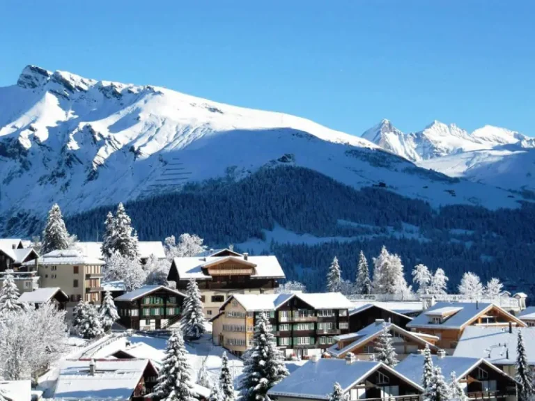 winter-in-georgia