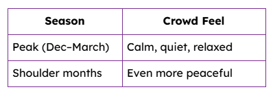 Peak Season vs Crowd Feel