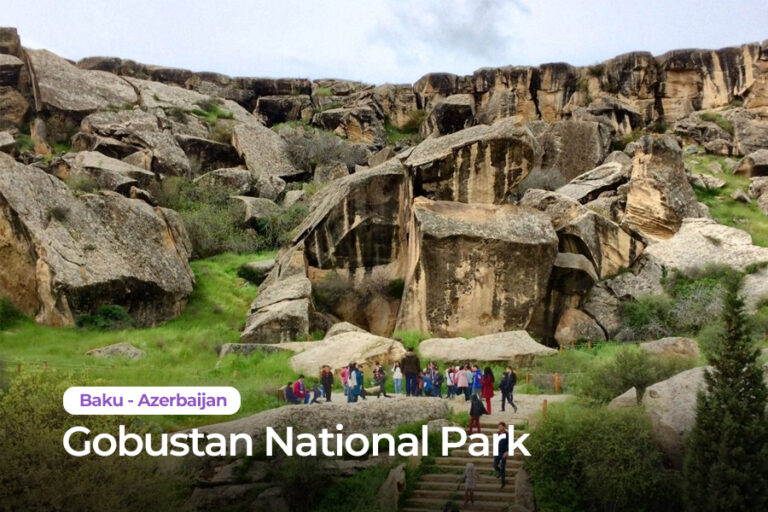 GOBUSTAN copy