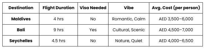 Dubai to Maldives cost table.png